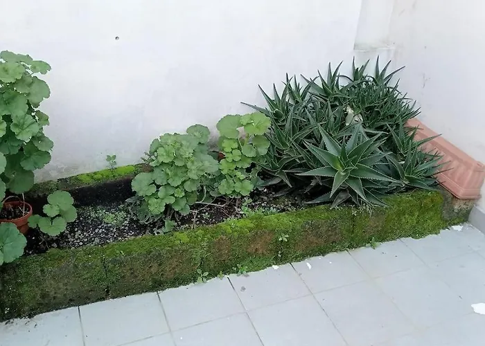 La Casetta Dell'orto * Viareggio