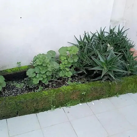 La Casetta Dell'orto * Viareggio